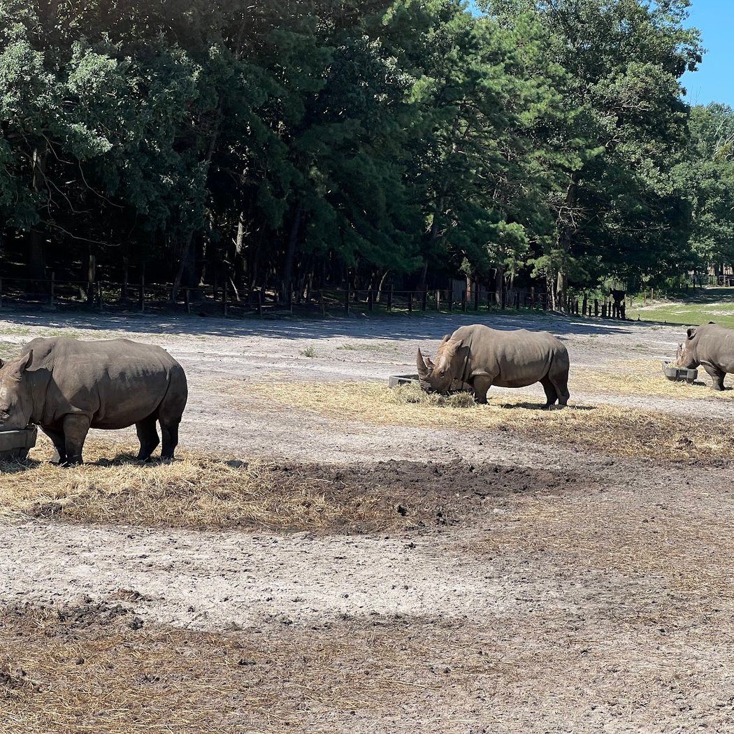 Six Flags Wild Safari 3