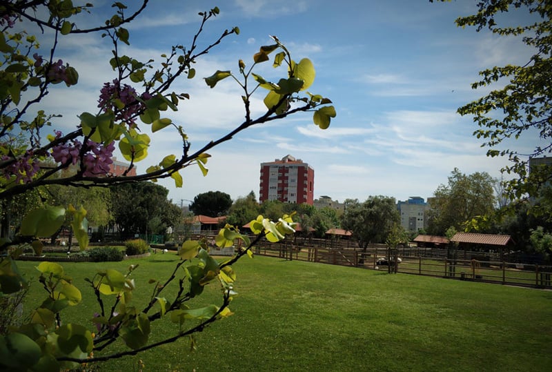 Quinta Pedagógica de Lisboa 3