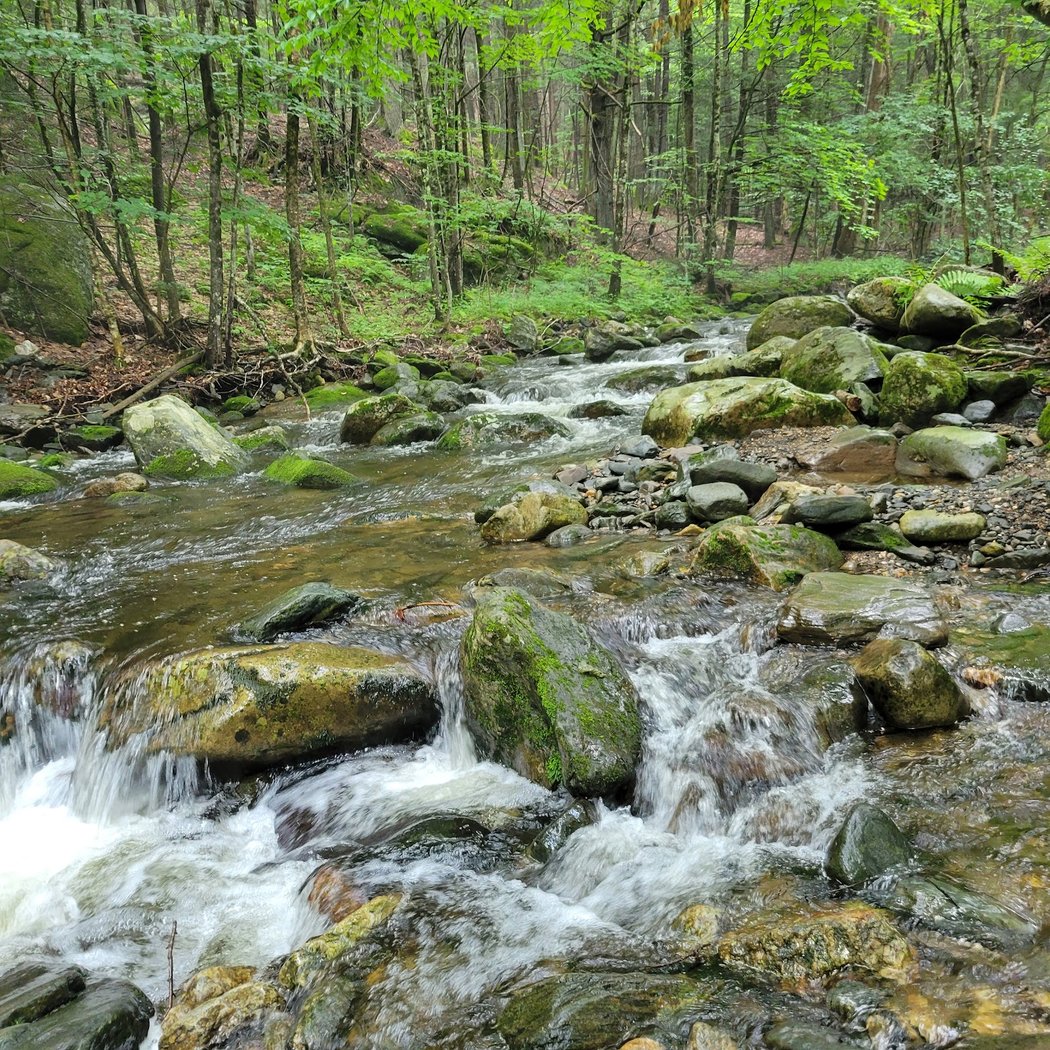 Sanderson Brook Waterfall 2