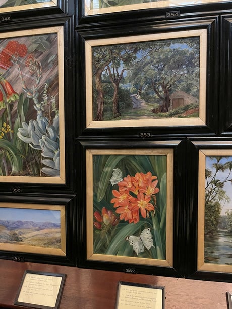 Marianne North Gallery 2
