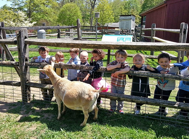 Heckscher Farm & Nature's Playground Toddler Outing 1