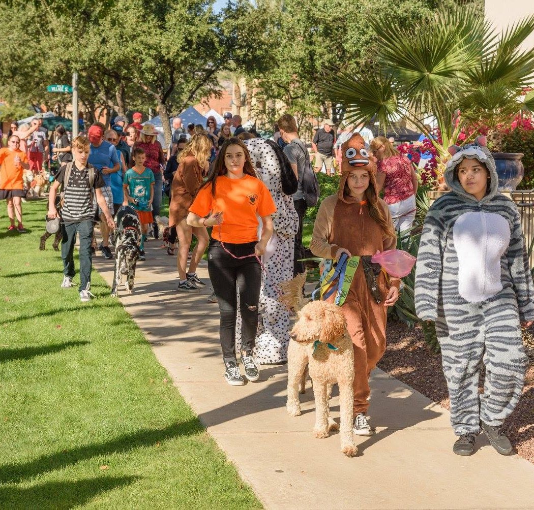 19th Annual Paws n' Claws Pet Fair