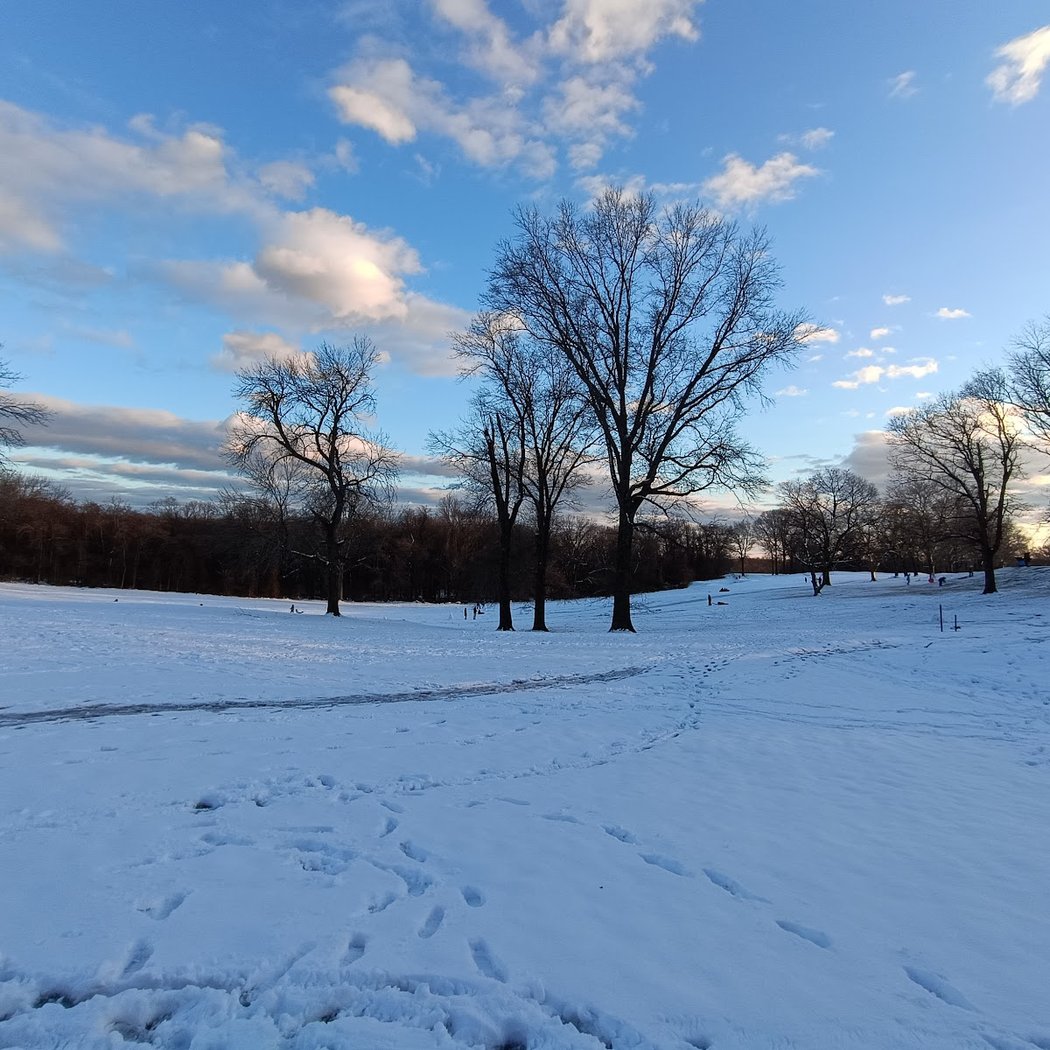 Latourette Park 4