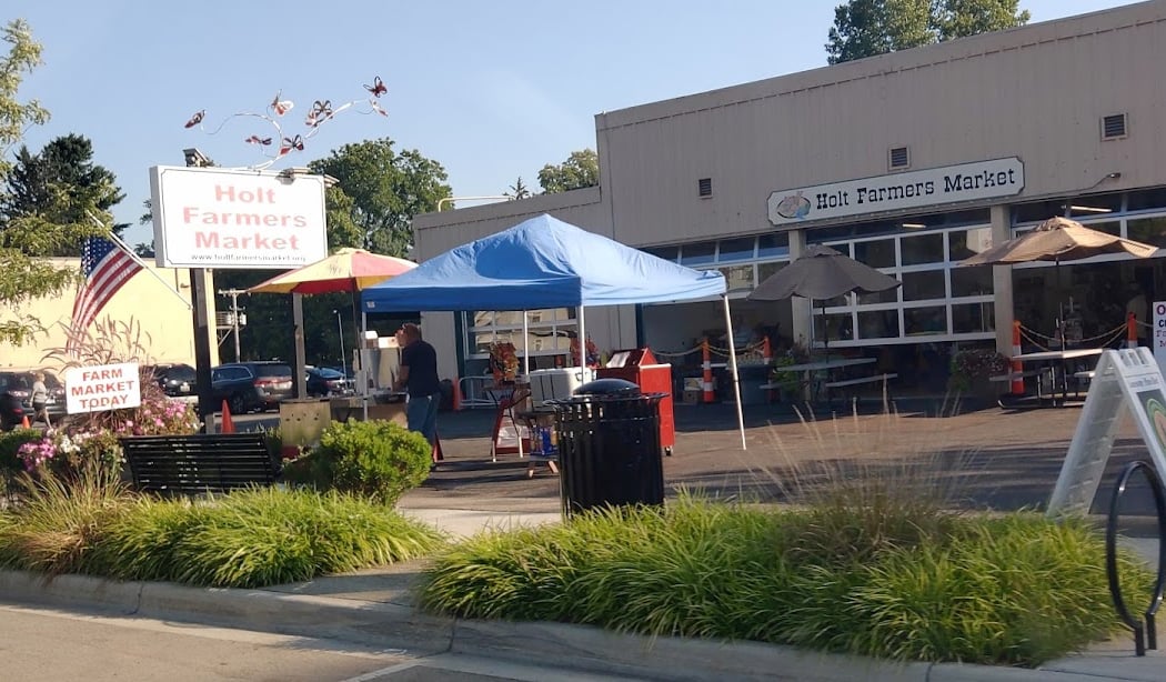 Holt Food Frenzy 2