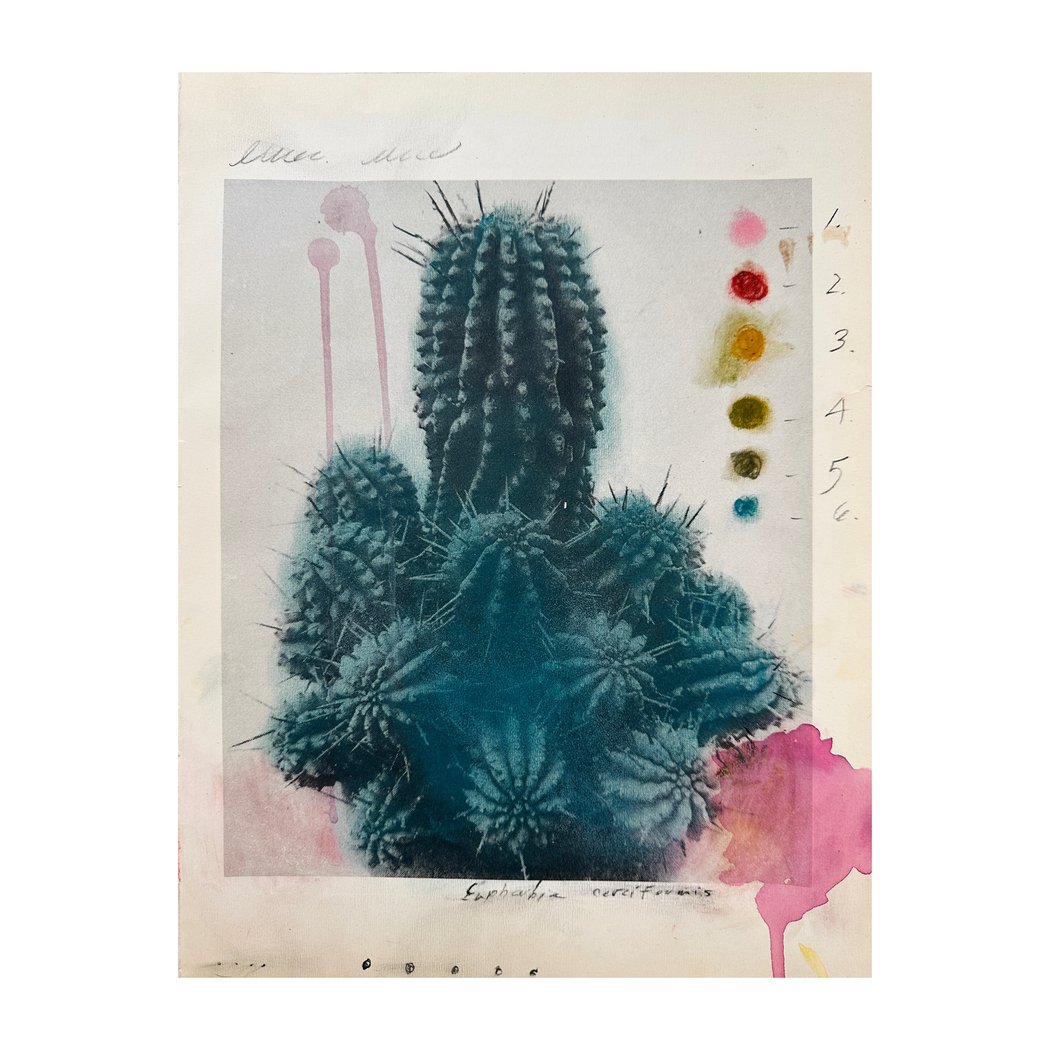 Apophenia 02 / Exquisite Corpse 2