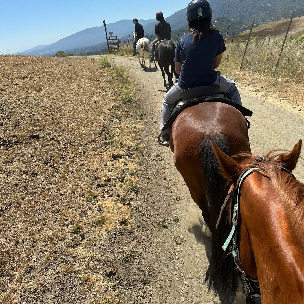 Horseback Riding Adventure 2