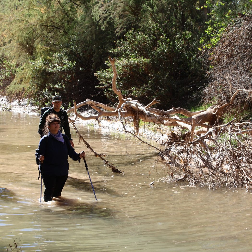 Santa Cruz River Willow Forest Survey 3