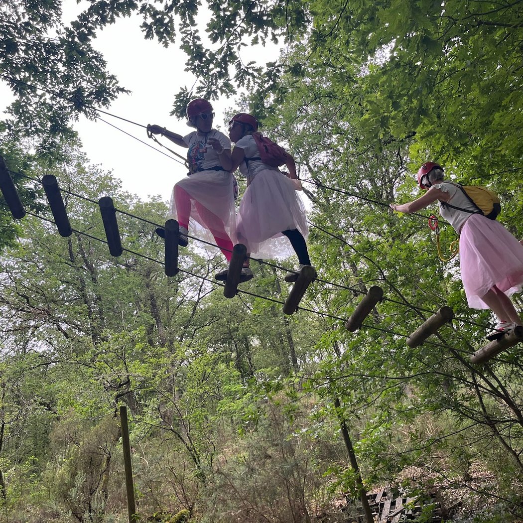 Saumur Forest Aventures 1