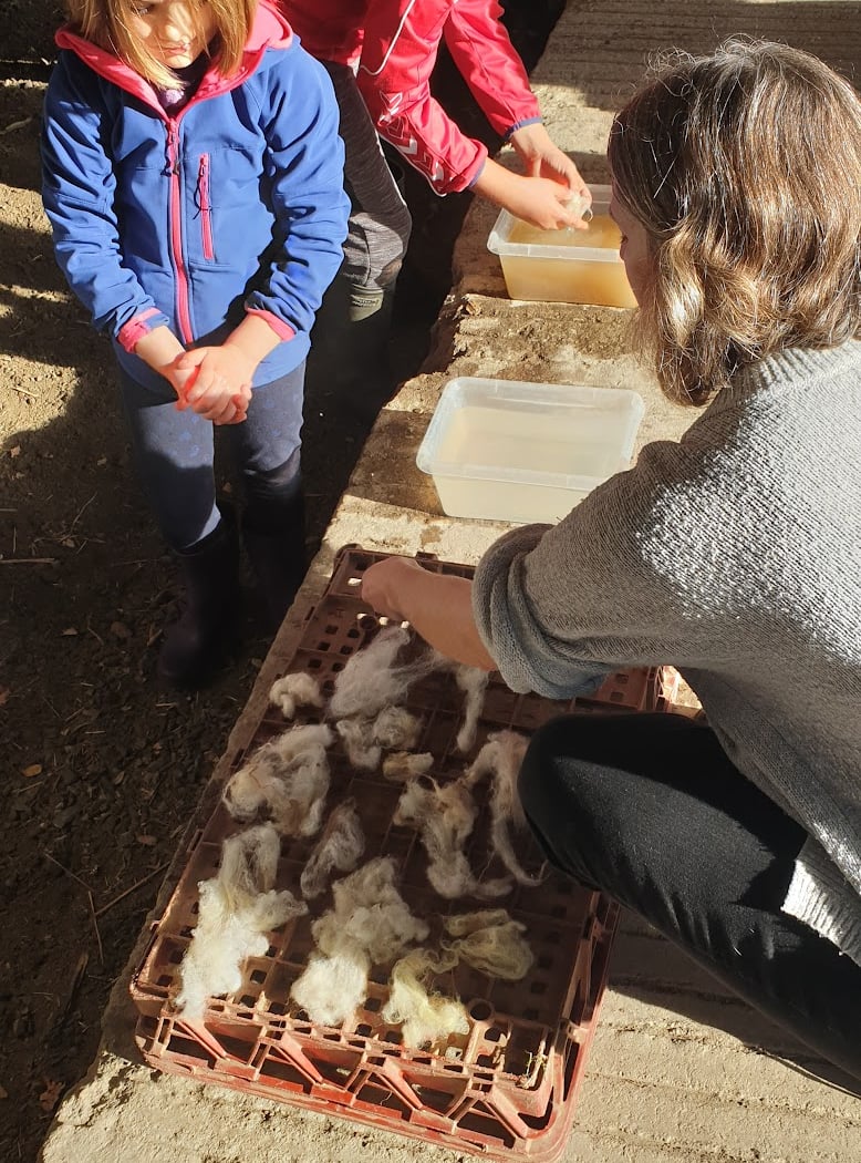 Ferme de Sergonne 2