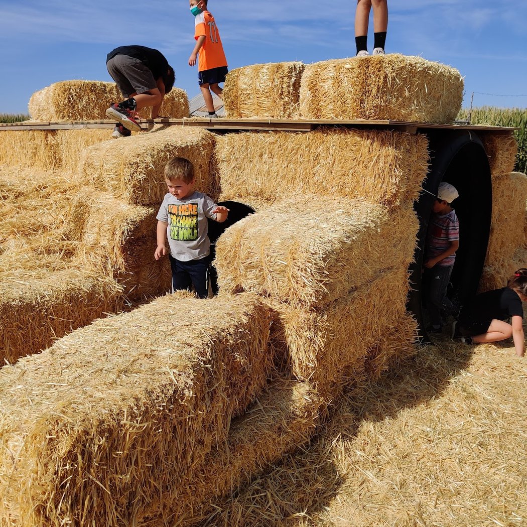 Tolmachoff Farms Pumpkin Patch 1
