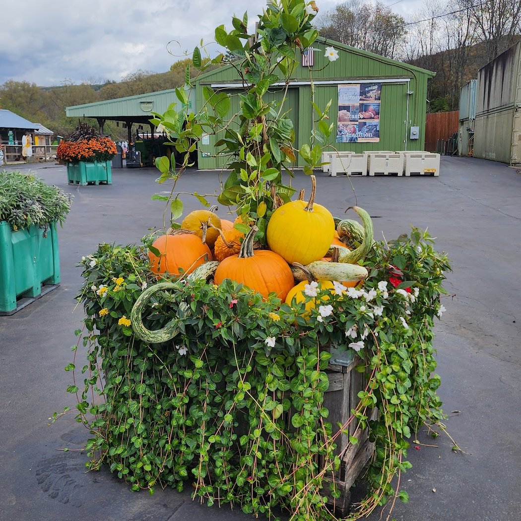 Fly Creek Cider Mill & Orchard Tour 3