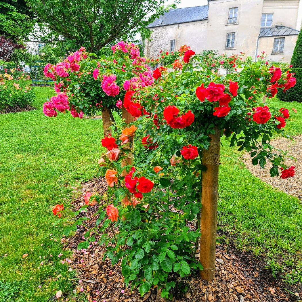 Arménie Garden 2