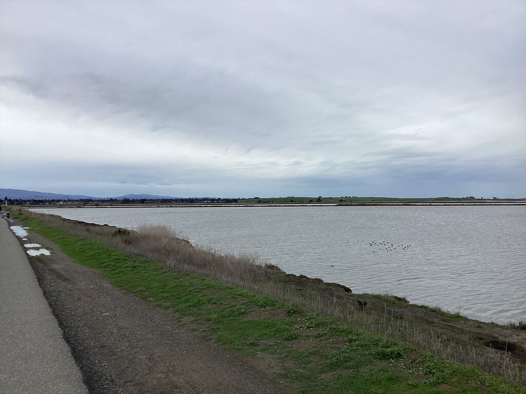 San Francisco Bay Trail 3