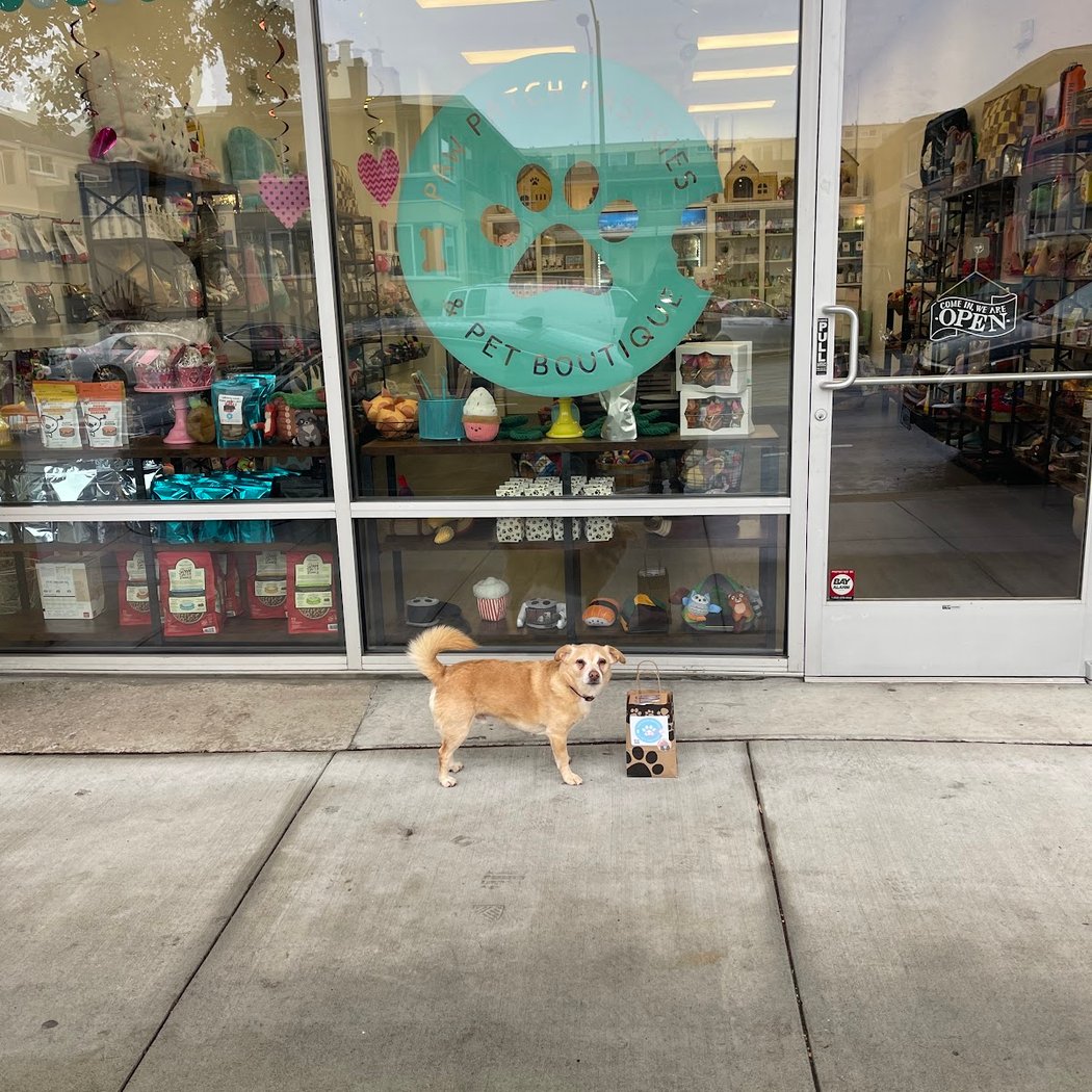 Paw Patch Pastries & Pet Boutique 2