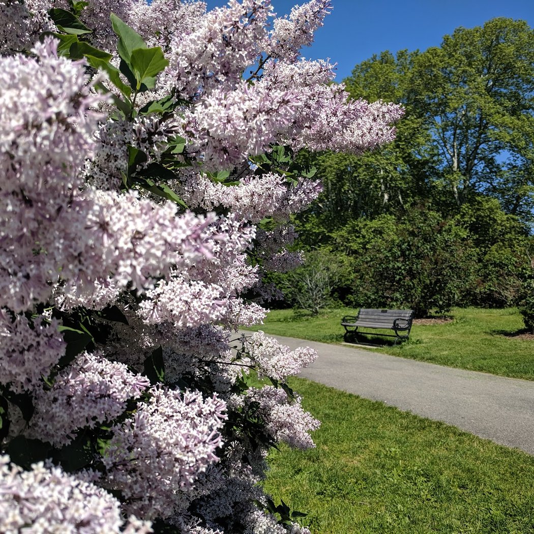 Highland Park 3