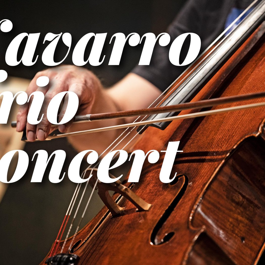 Navarro Trio 1