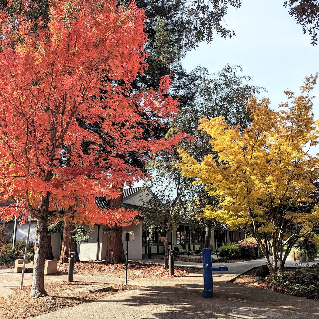 Civic Park Community Center 1