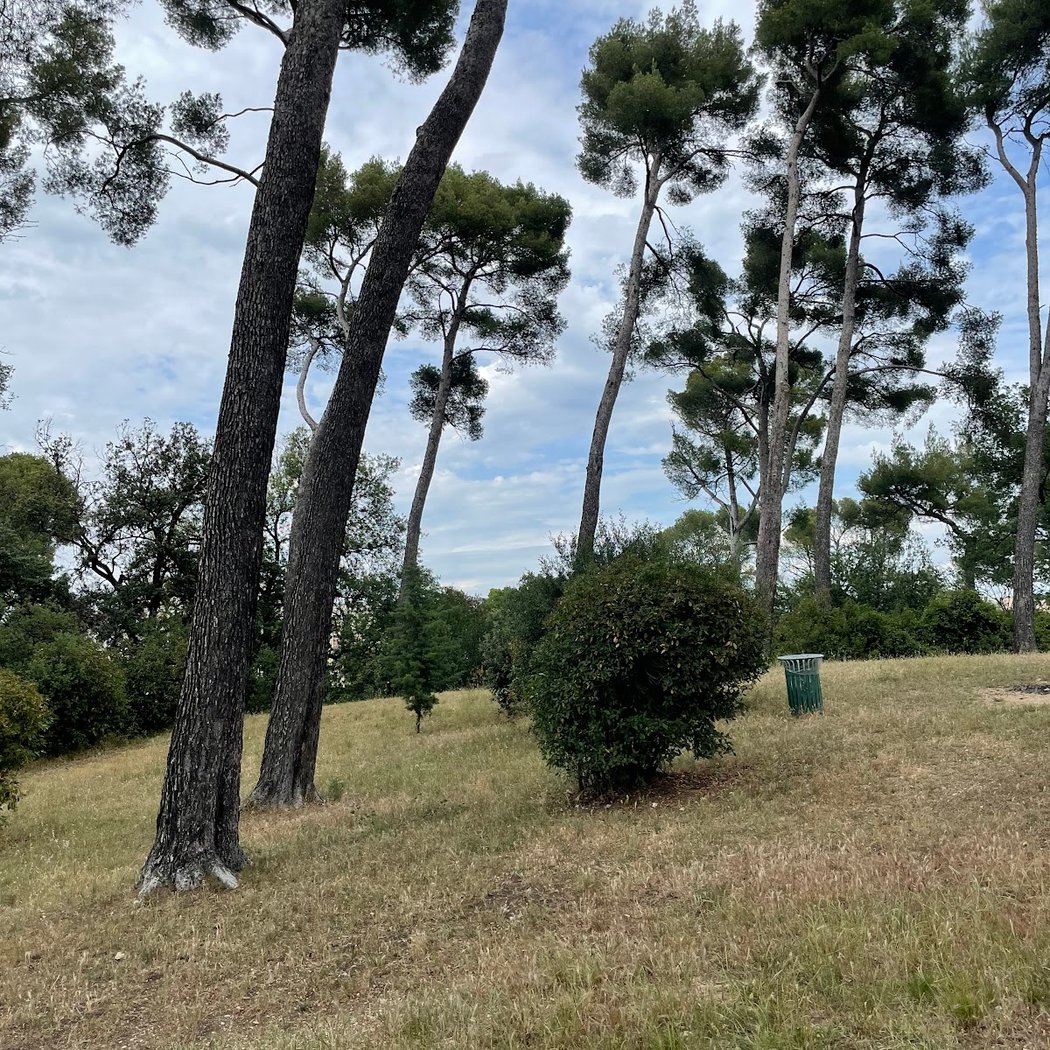 Parc Saint Théodore 2