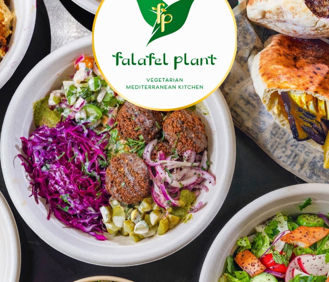 Falafel Plant 2