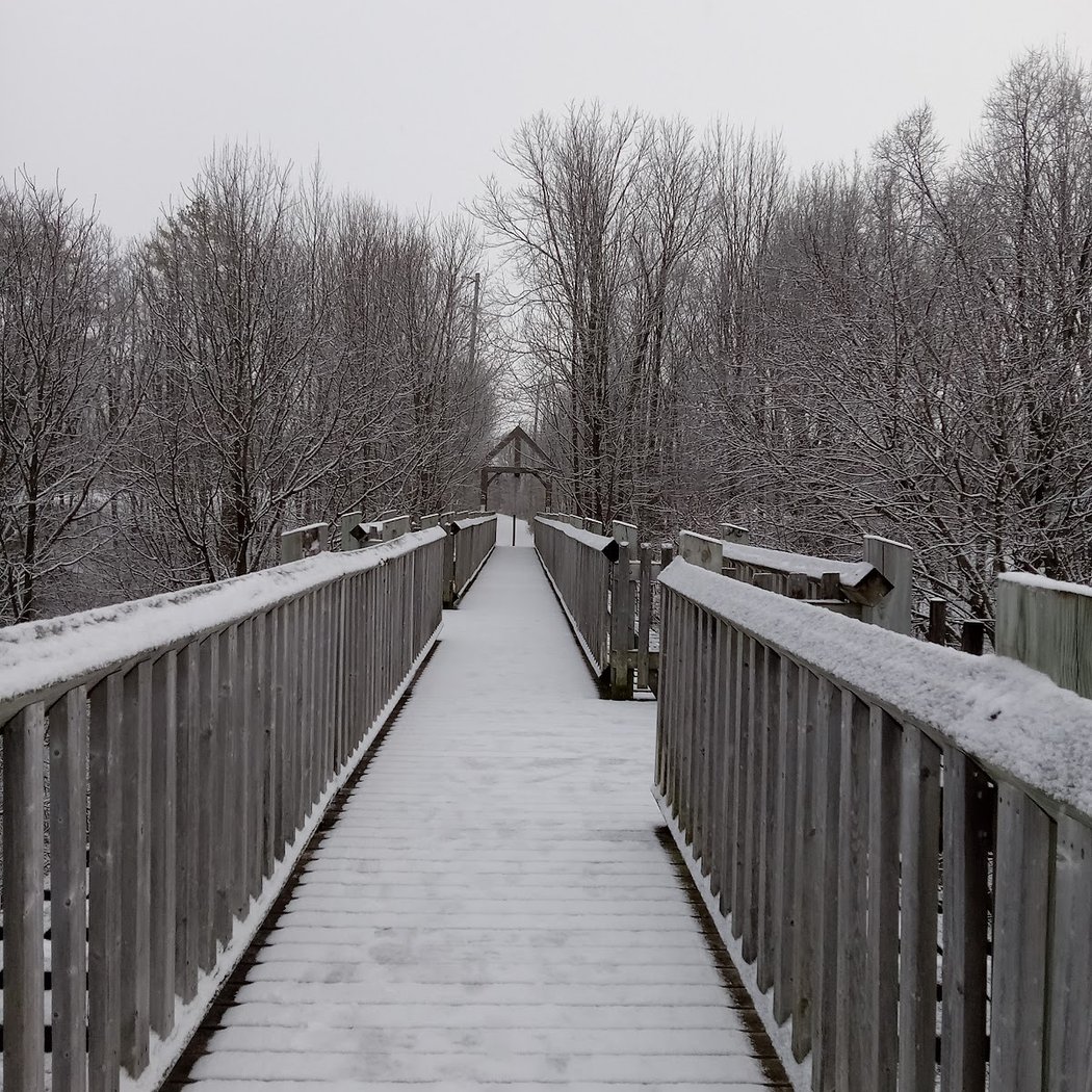 Chesley Heritage Trail 1