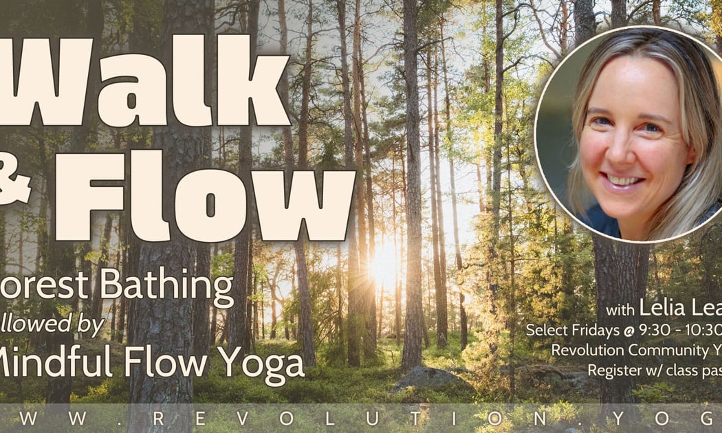 Walk & Flow – Forest Bathing & Mindful Flow Yoga 1