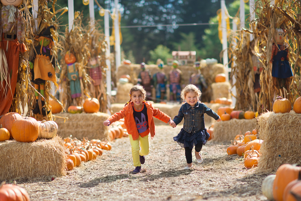 Perry Pumpkin Patch 3