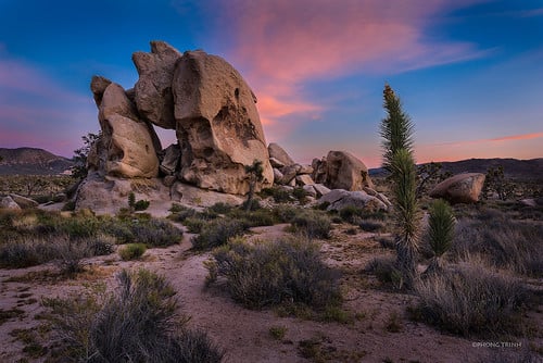 Joshua Tree National Park 1