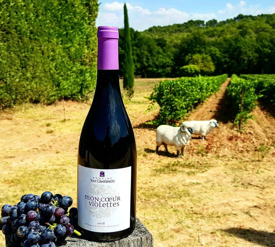 Domaine Tour Campanets 2