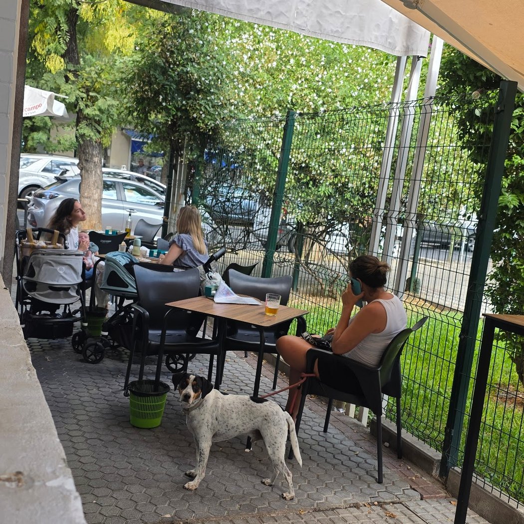Bar Benmora 3