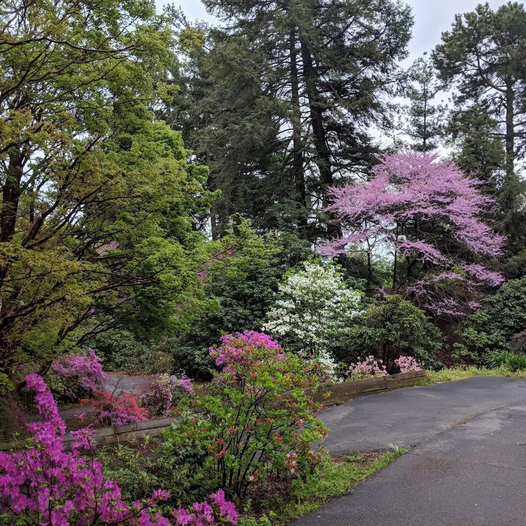 Highland Park 2