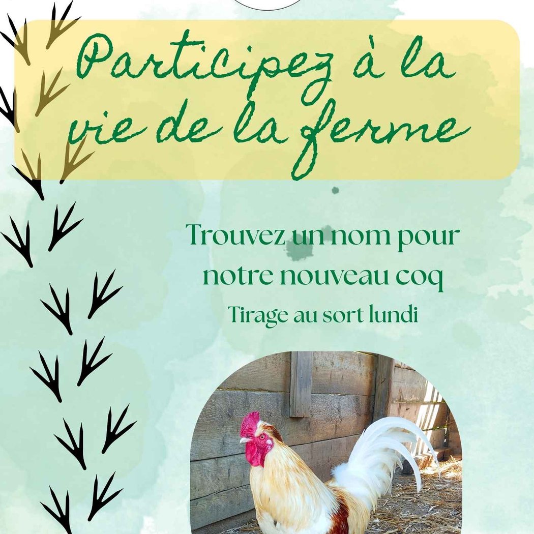Ferme de la Chasseloire 1