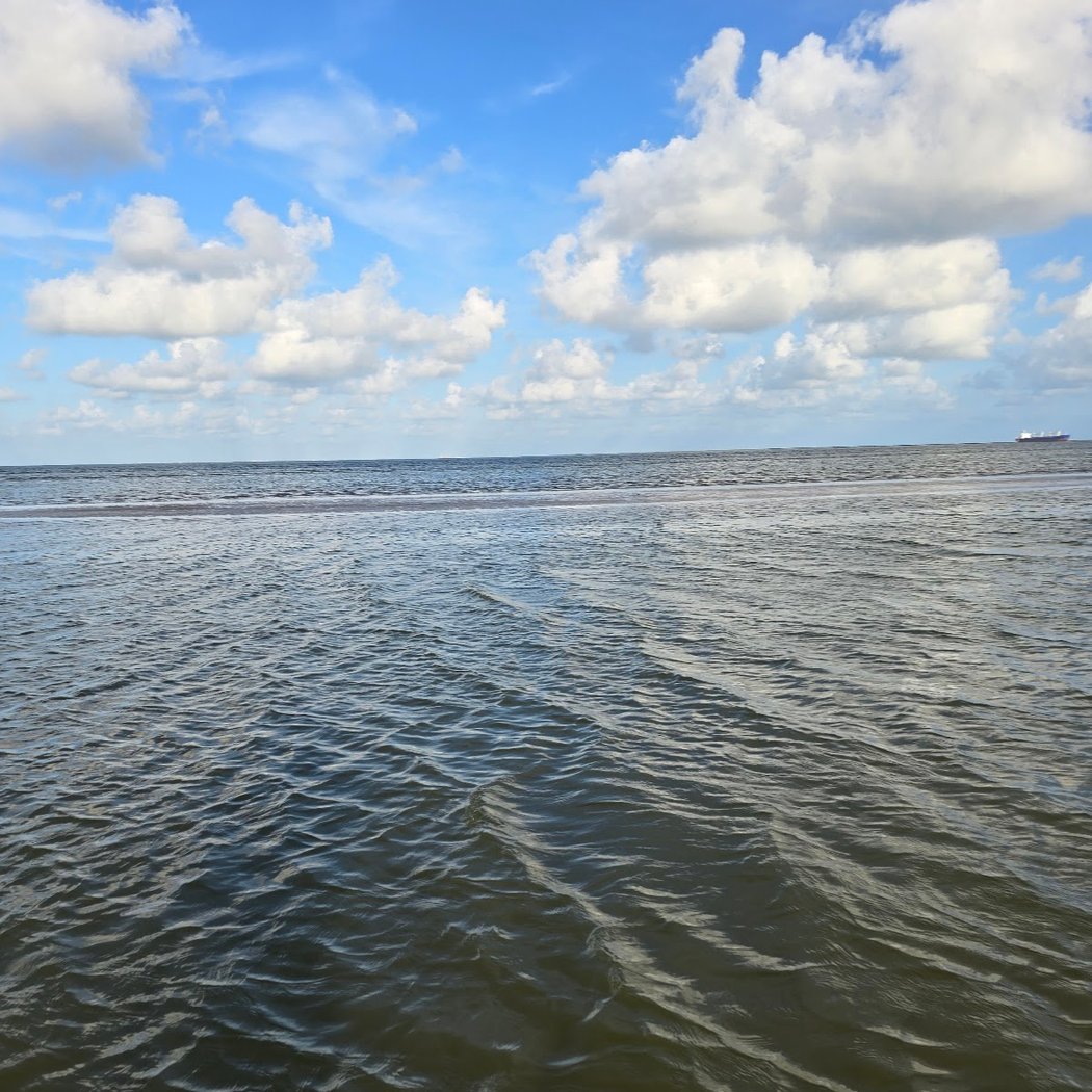 Bolivar Flats Shorebird Sanctuary 2