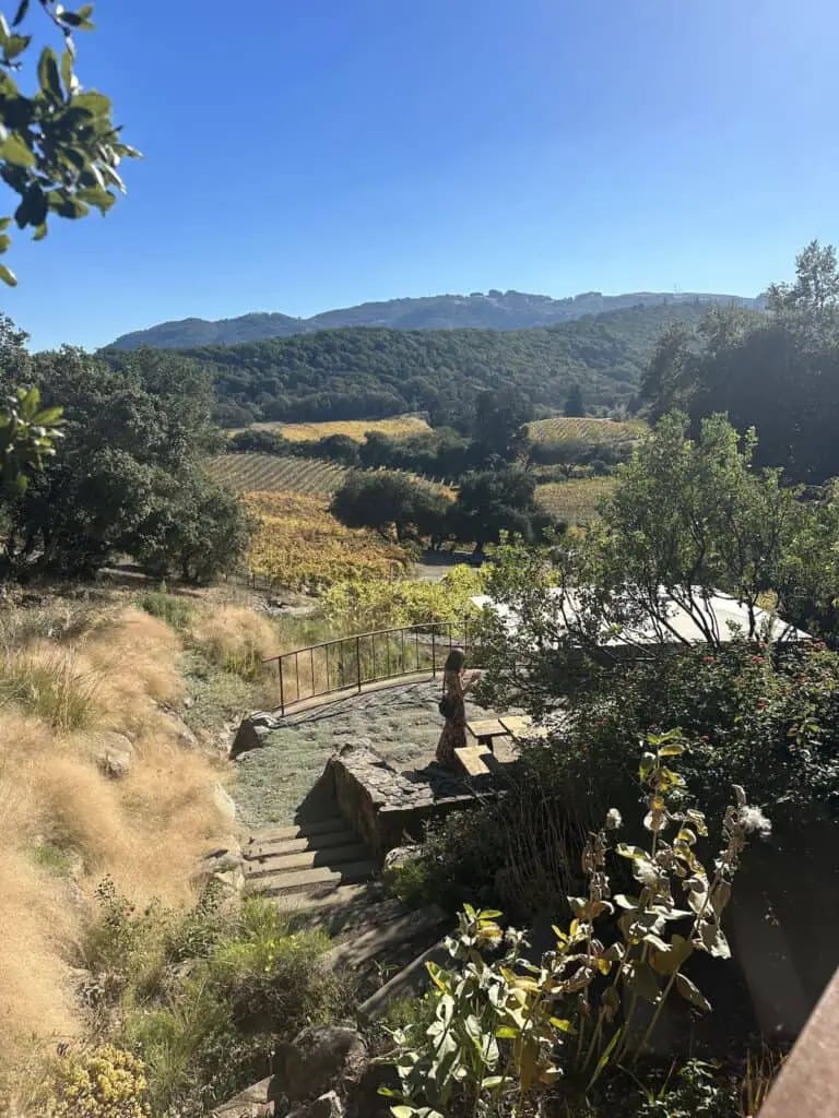 Kivelstadt Cellars Estate Vineyards 2