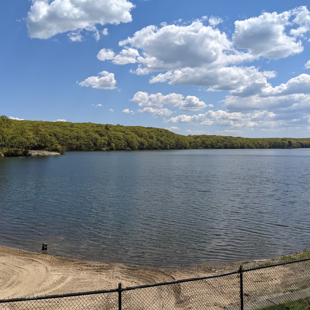 Lake Tiorati Beach 2