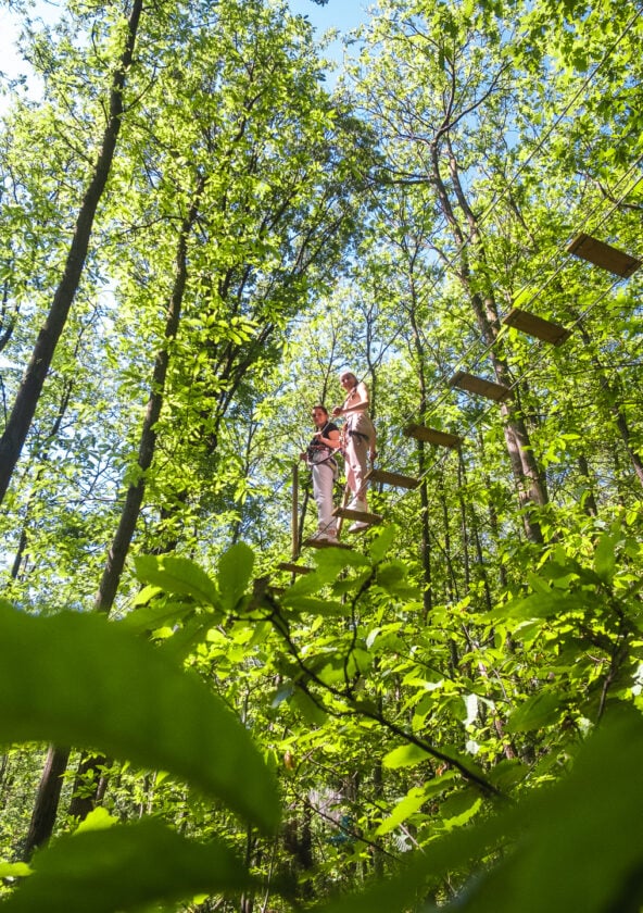 Indian Forest Yvelines 2