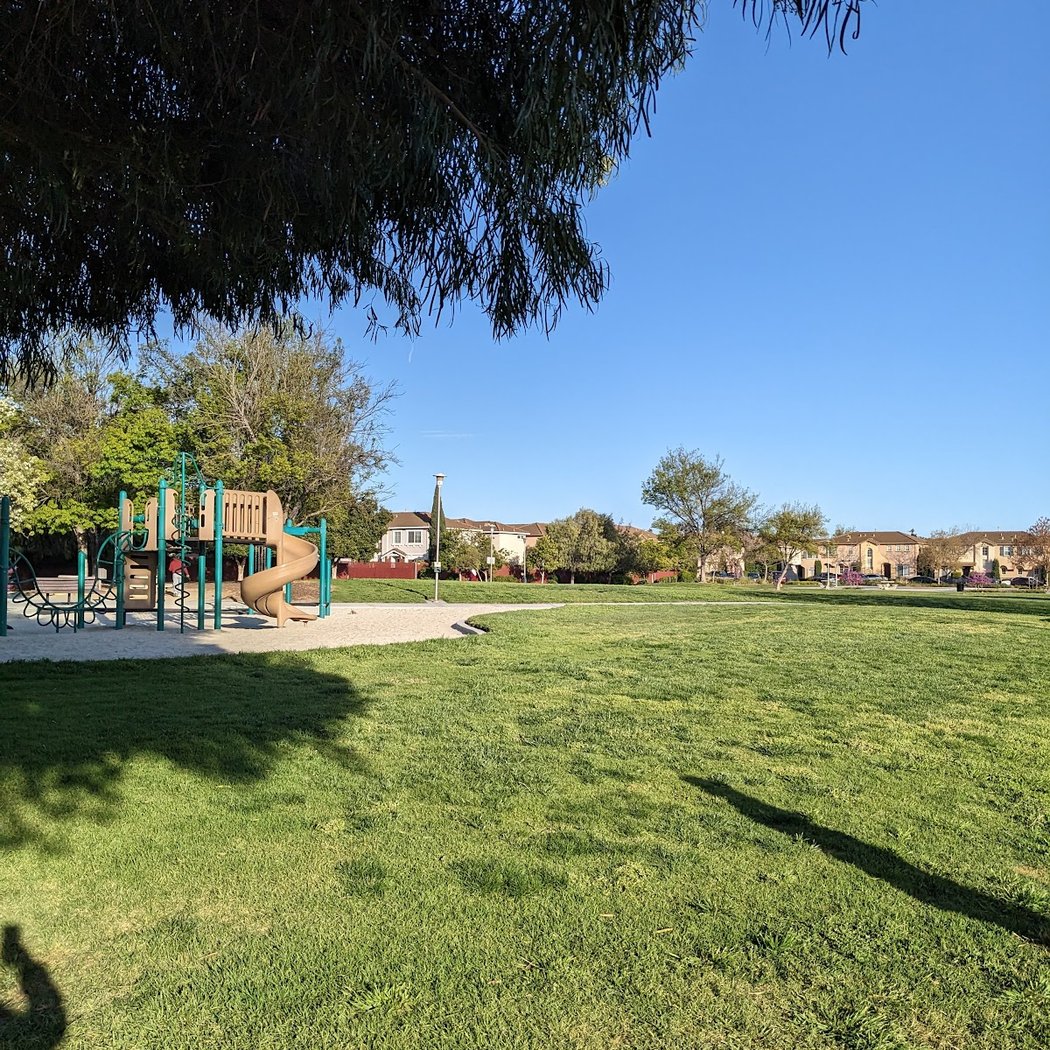 Fuller Street Park 3