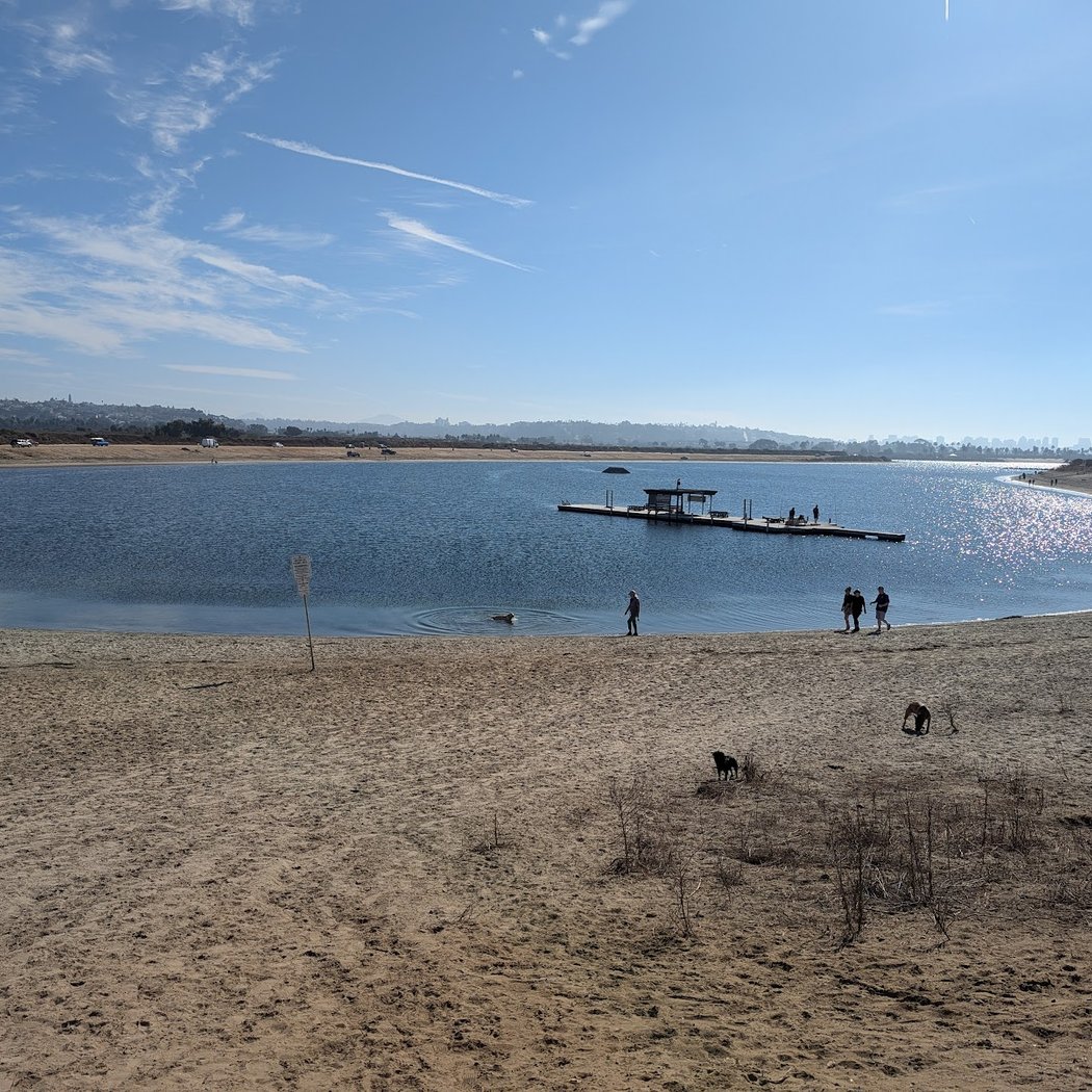 Fiesta Island Dog Park 1