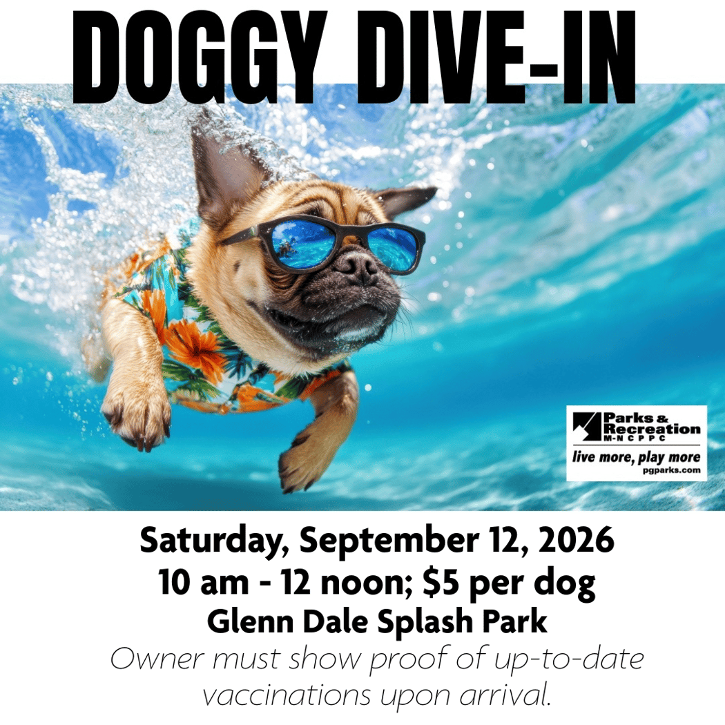 Doggy Dive-In 1