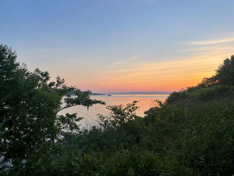 Calvert Vaux Park 3