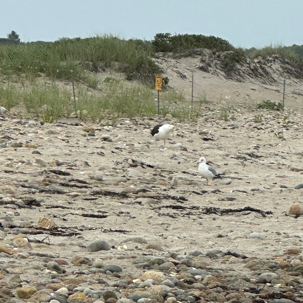 South Shore Beach 3