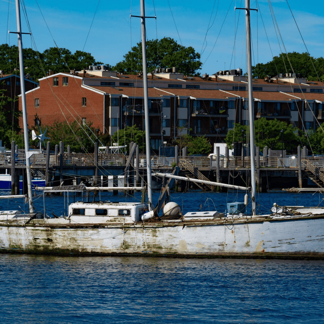 Sheepshead Bay 2