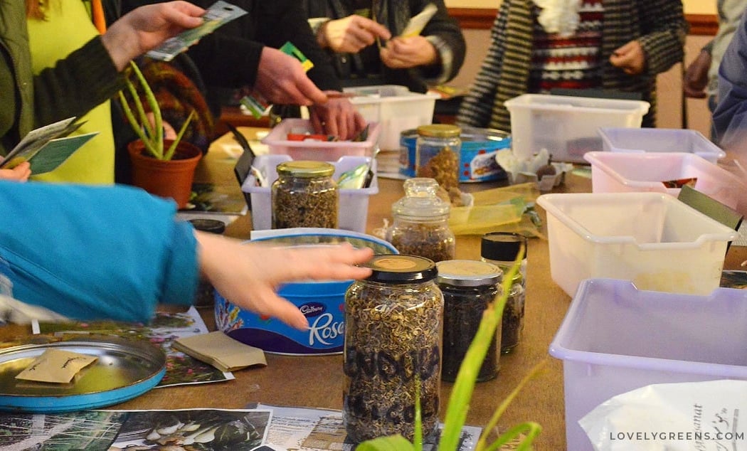 Community Plant Swap 3