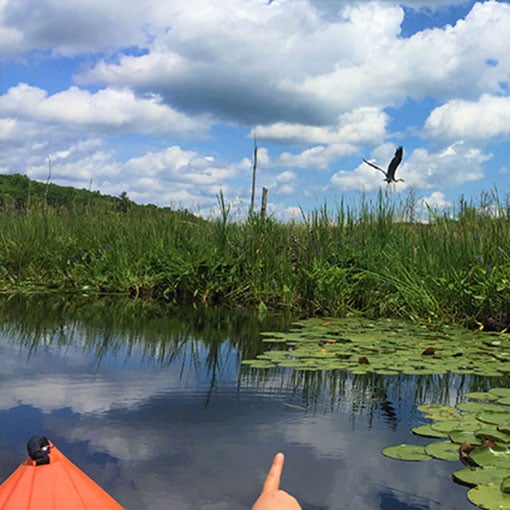 New Paltz Kayaking 2