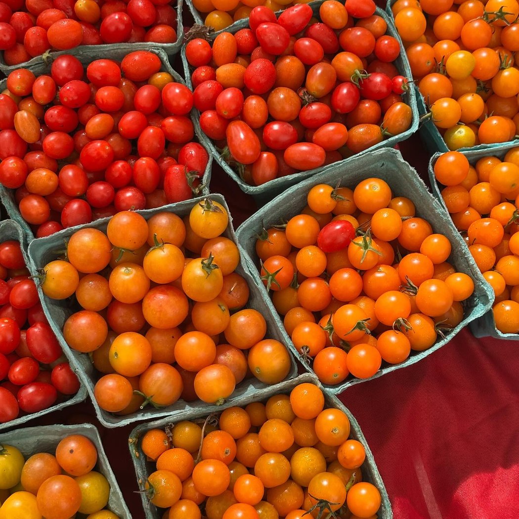 79th Street Greenmarket 1