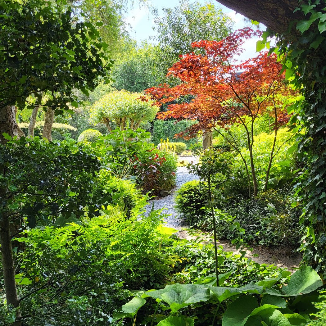 Interieur à Ciel Ouvert Garden 2