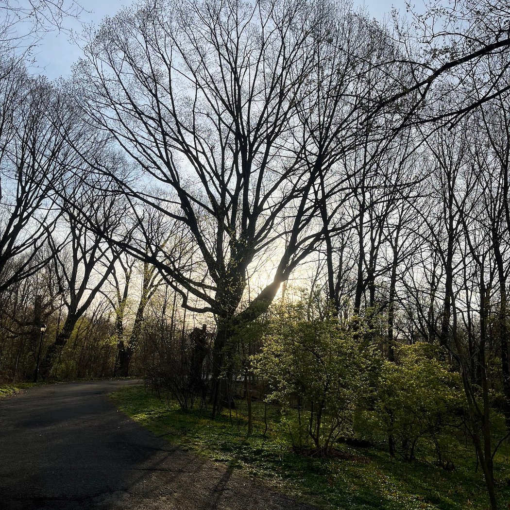Bronx River Forest Park 2