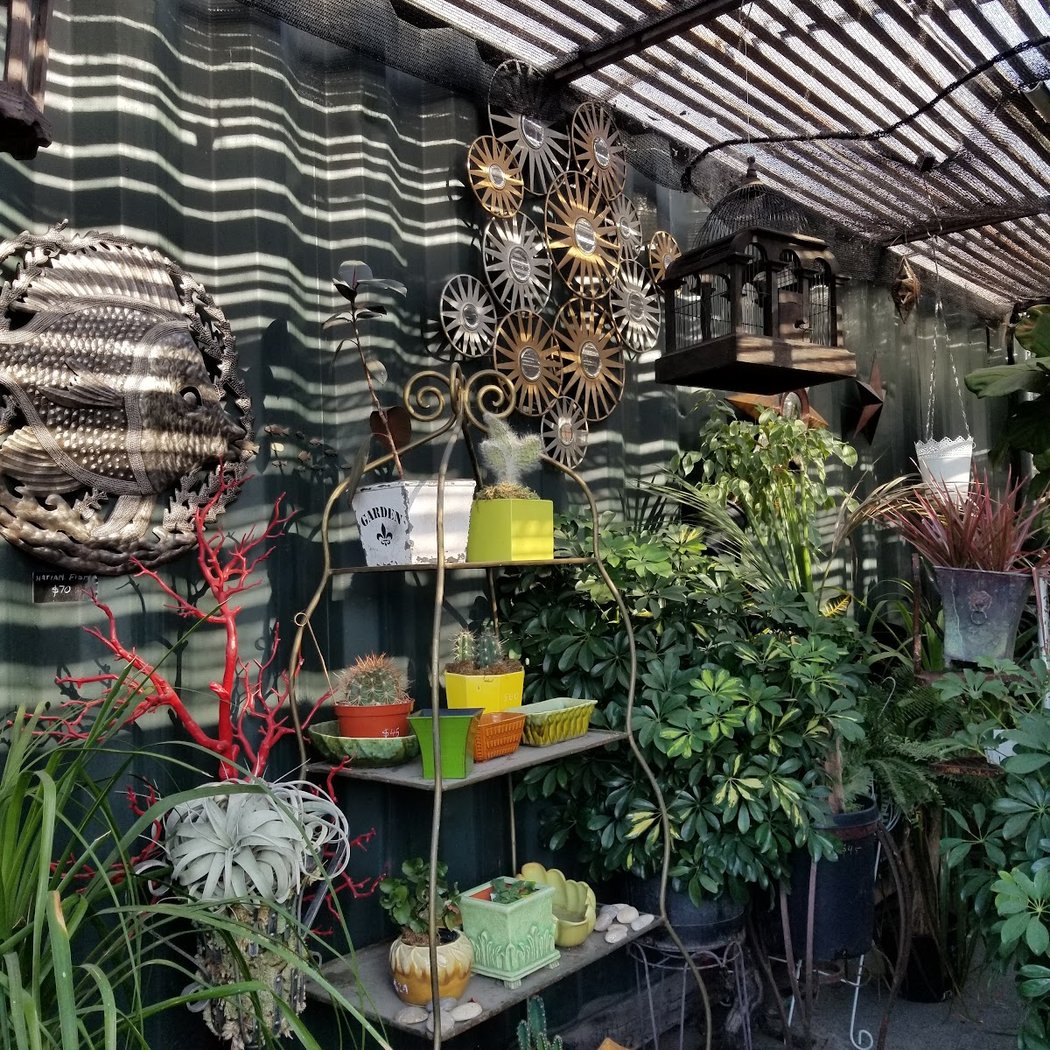 Bay Natives Nursery pop-up 4