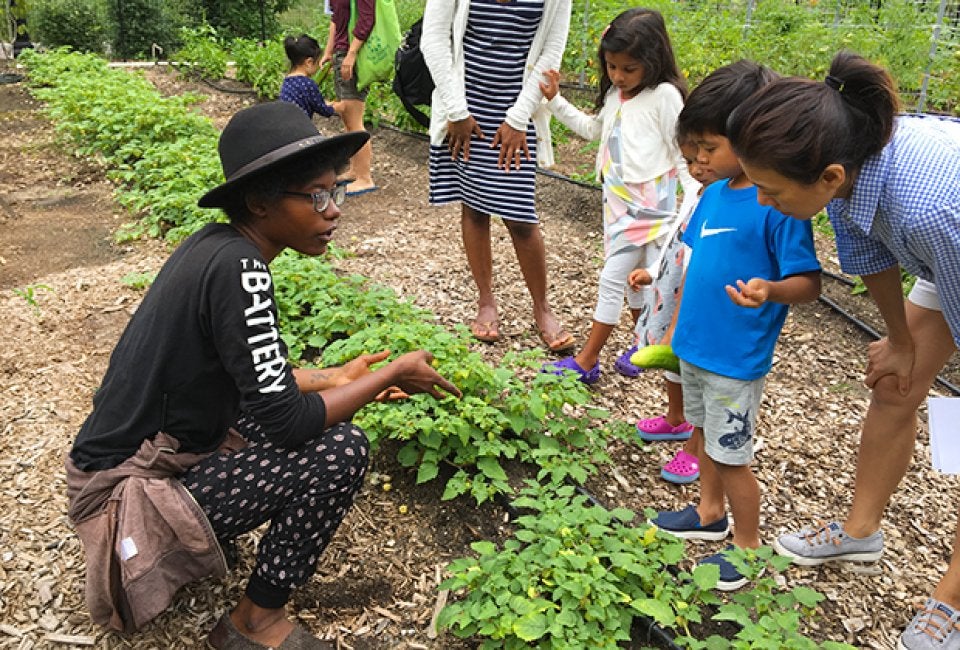 The Battery Urban Farm 1