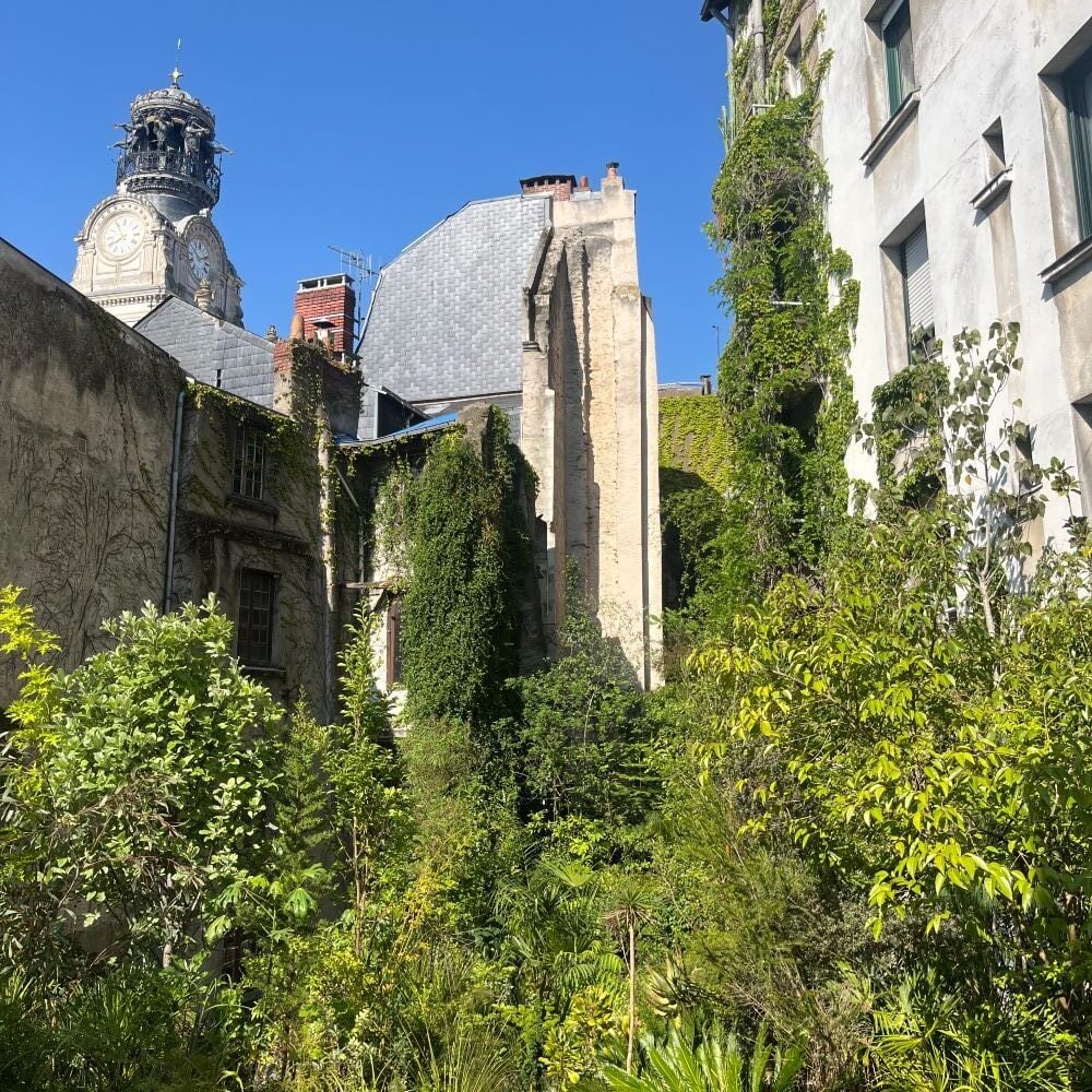Jungle intérieure 2