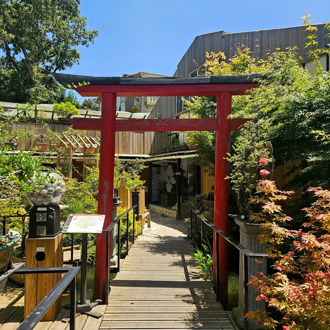 Museu do Bonsai 1